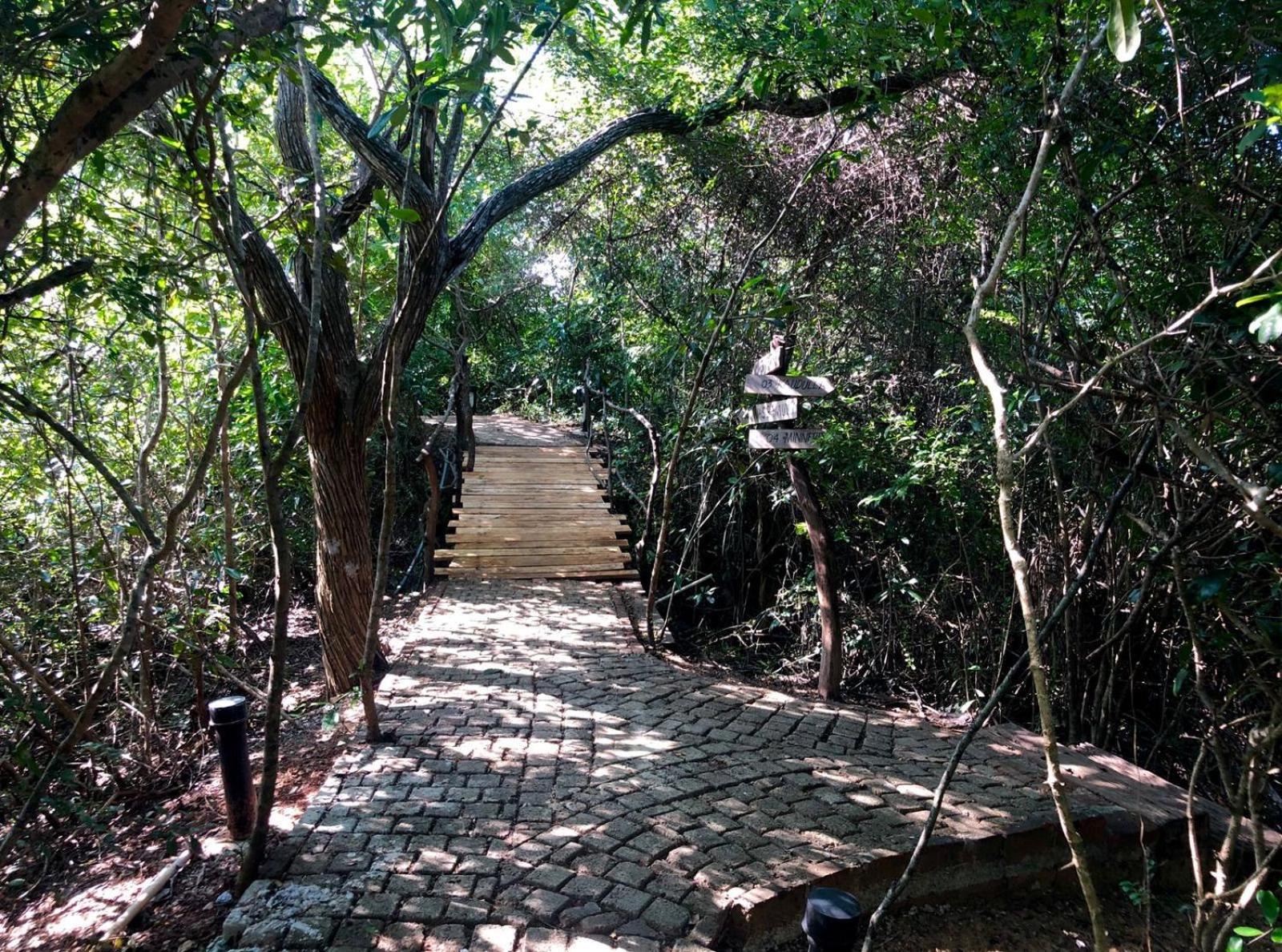 Cloud Nine Wilpattu By Aaradhya Hotel Wanathavilluwa Buitenkant foto